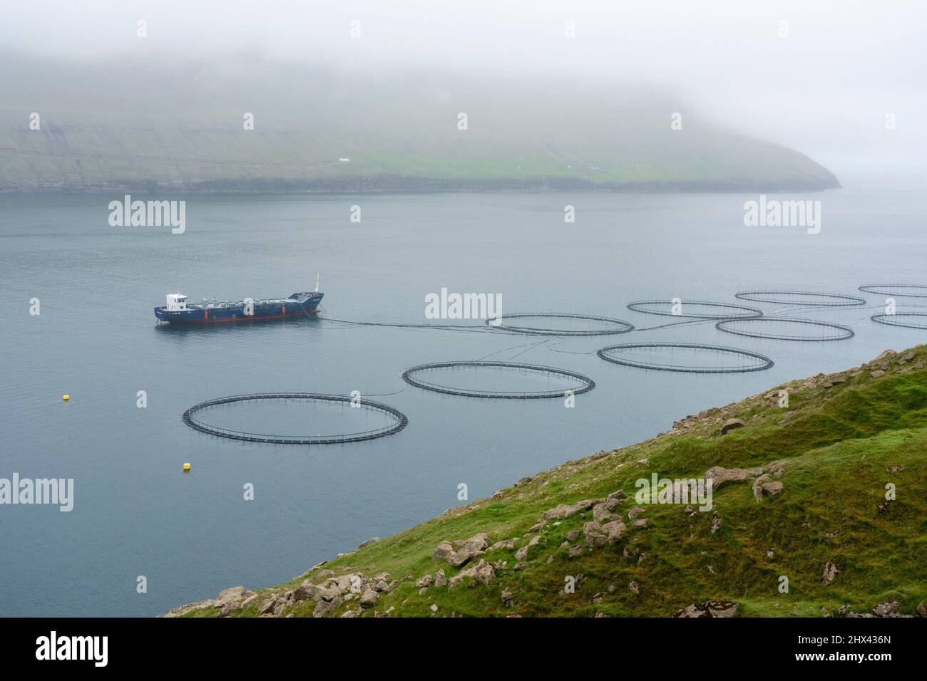 Salmon farm, Vidoy Island, Faroe Islands, Denmark Stock Photo Alamy