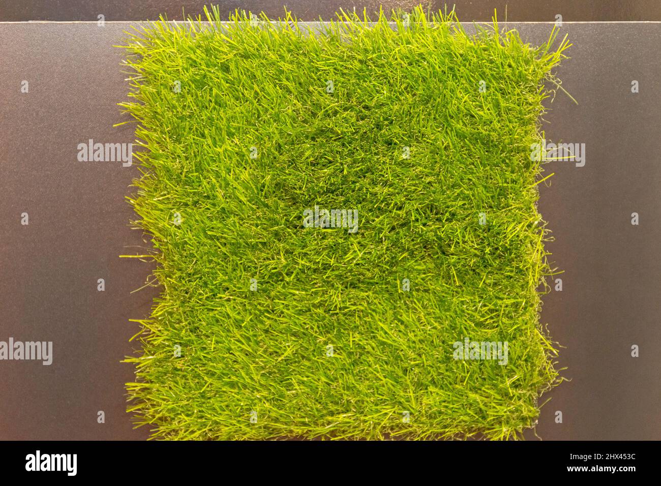 Synthethic Green Grass Patch for Artificial Gardens Stock Photo
