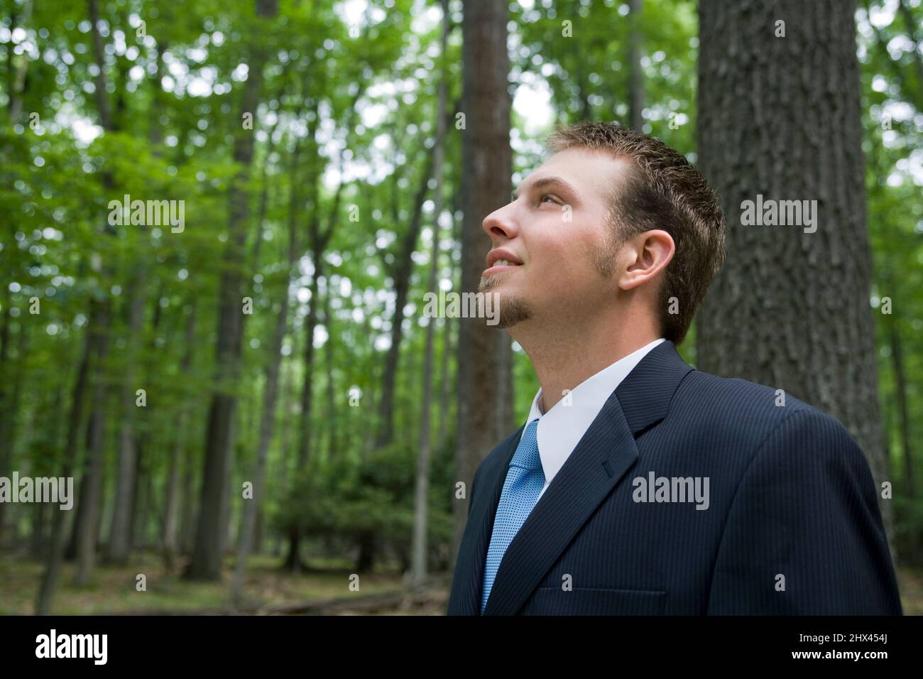 YOUNG BUSINESSMAN STANDING IN TEMPERATE MIXEDNORTHERN FOREST Stock Photo