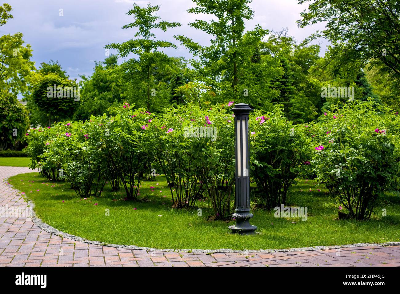 garden bed with ground iron lantern and bushes with blooming growing in a park with trees landscape design of summer plants near stone tile walkway, n Stock Photo