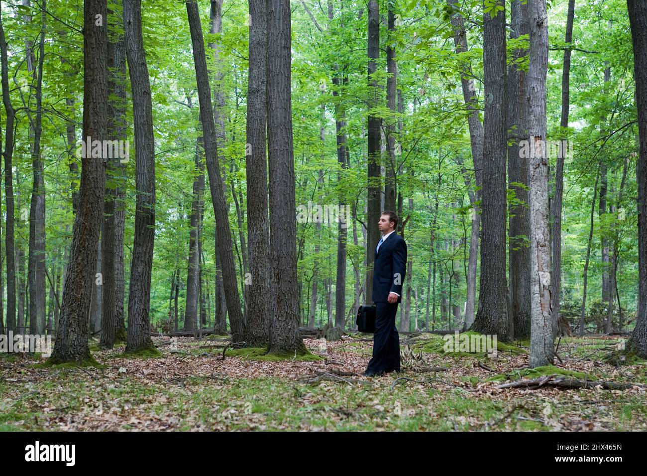 PORTRAIT OF YOUNG BUSINESSMAN WITH BRIEFCASE IN TEMPERATE MIXED NORTHERN FOREST Stock Photo