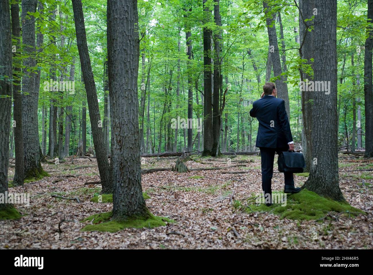 YOUNG BUSINESSMAN WITH CELLULAR MOBILE PHONE STANDING IN TEMPERATE MIXED NORTHERN FOREST Stock Photo