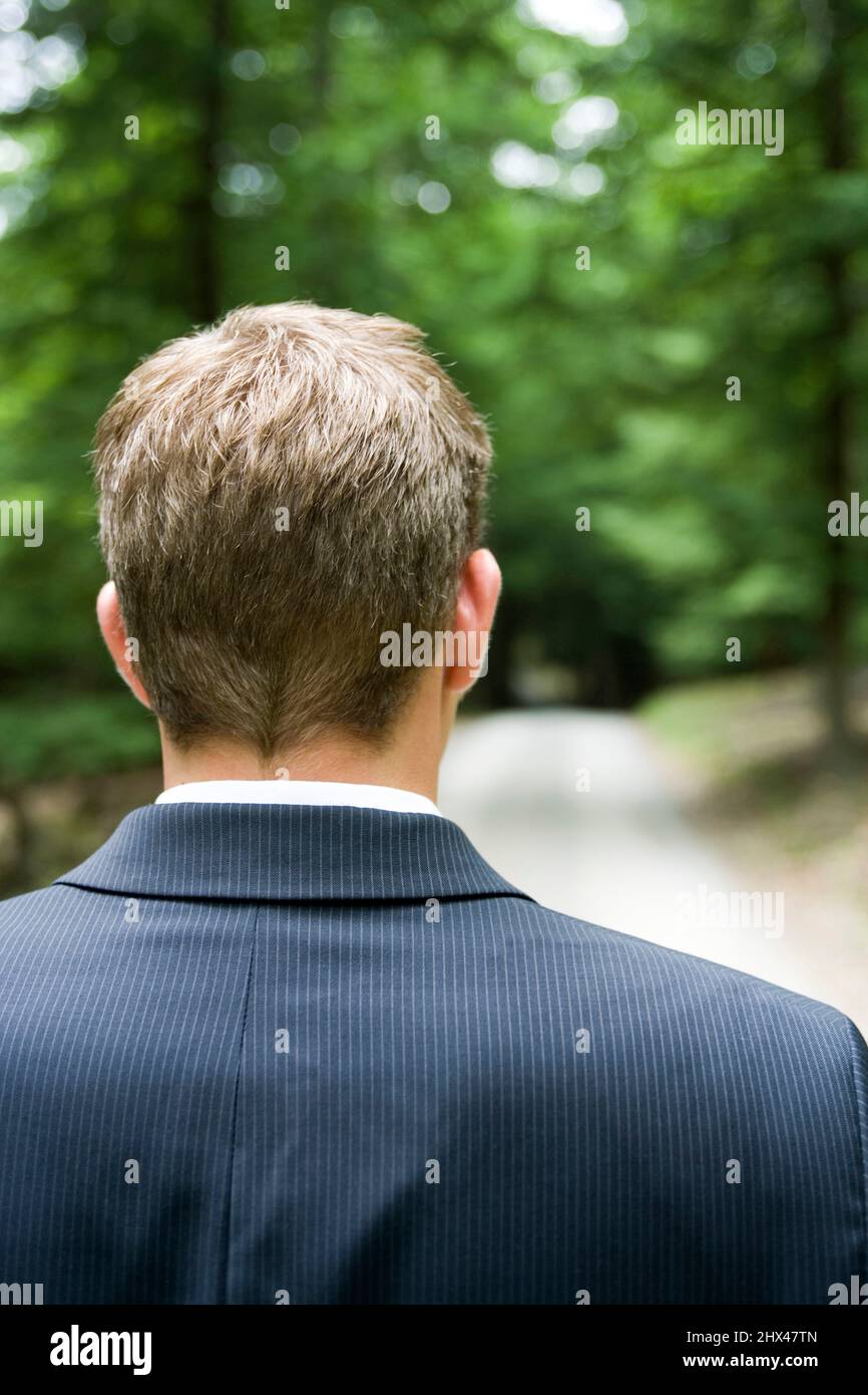 BACK OF HEAD OF YOUNG CAUCASIAN BUSINESSMAN STANDING IN TEMPERATE MIXED NORTHERN FOREST Stock Photo
