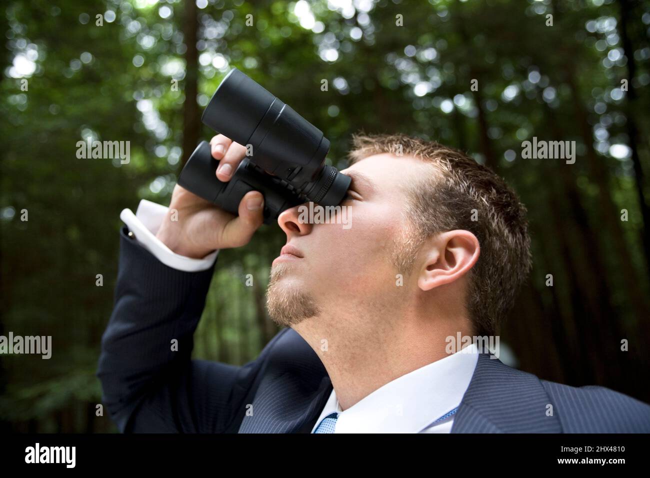 YOUNG BUSINESSMAN LOOKING THROUGH BINOCULARS IN TEMPERATE MIXED NORTHERN FOREST Stock Photo