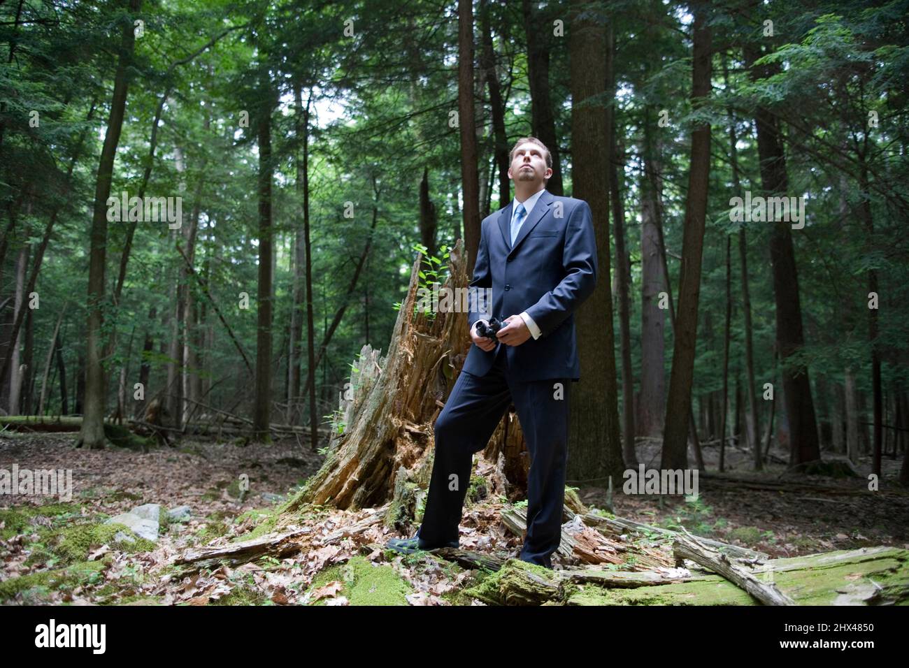 YOUNG BUSINESSMAN STANDING BY BROKEN TREE STUMP IN CLEARING OF TEMPERATE MIXED NORTHERN FOREST Stock Photo