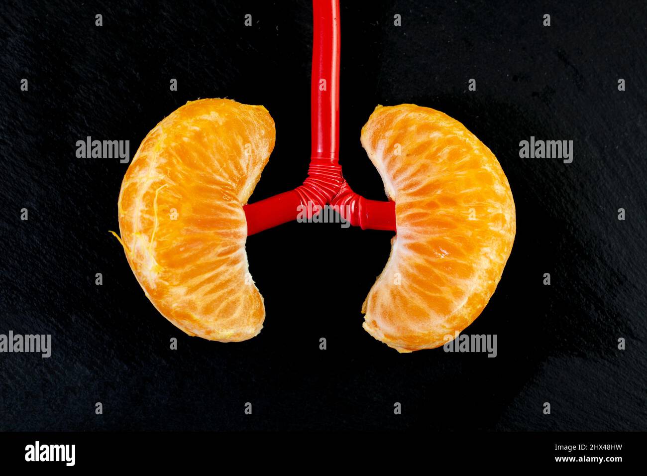 2 mandarin orange wedges representing lungs or kidneys on black background Stock Photo