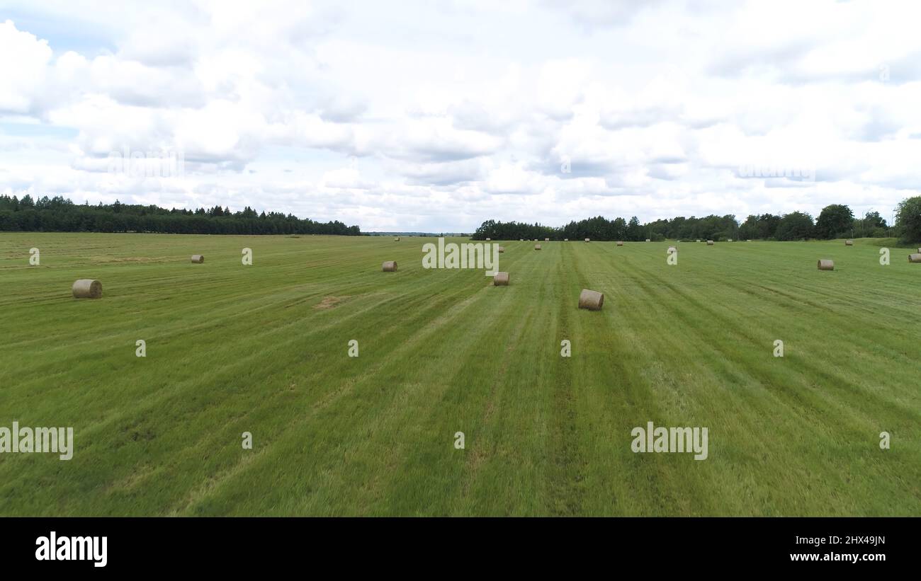 Big hay bale rolls on a green field with blue sky and clouds on the ...