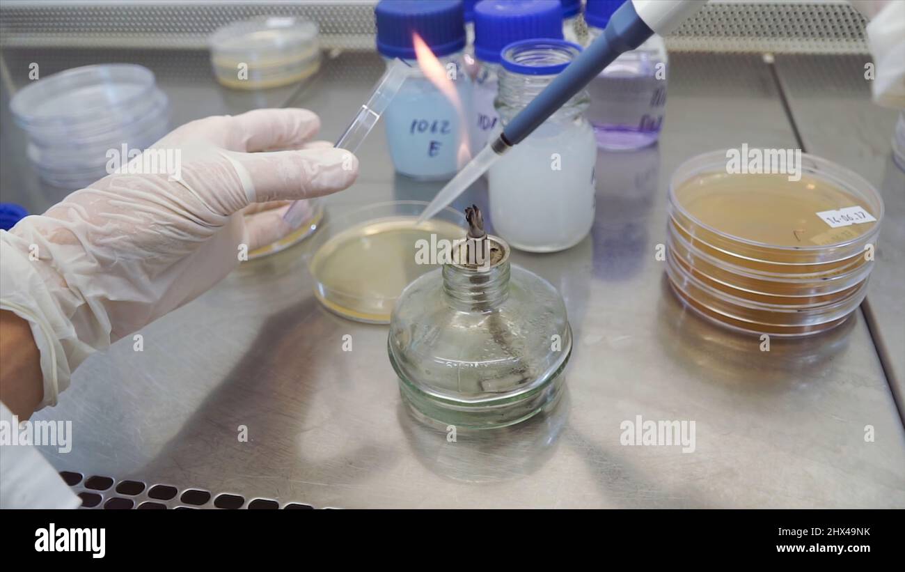 Bunsen Burner flame test in the science laboratory. Flaming a tube in