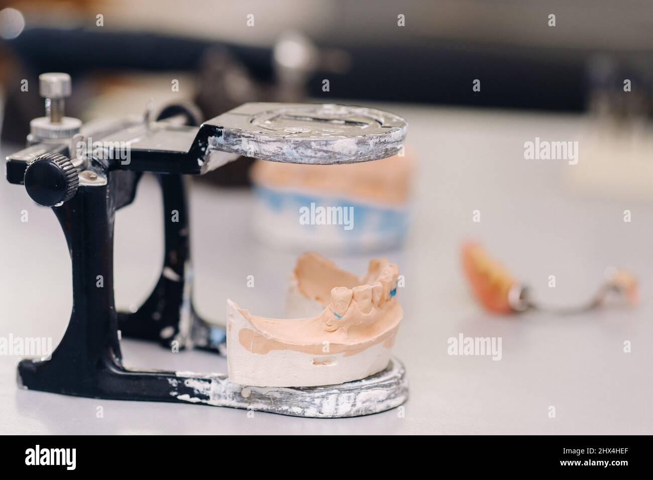 Model of teeth made of plaster of the jaw for dental technicians Stock