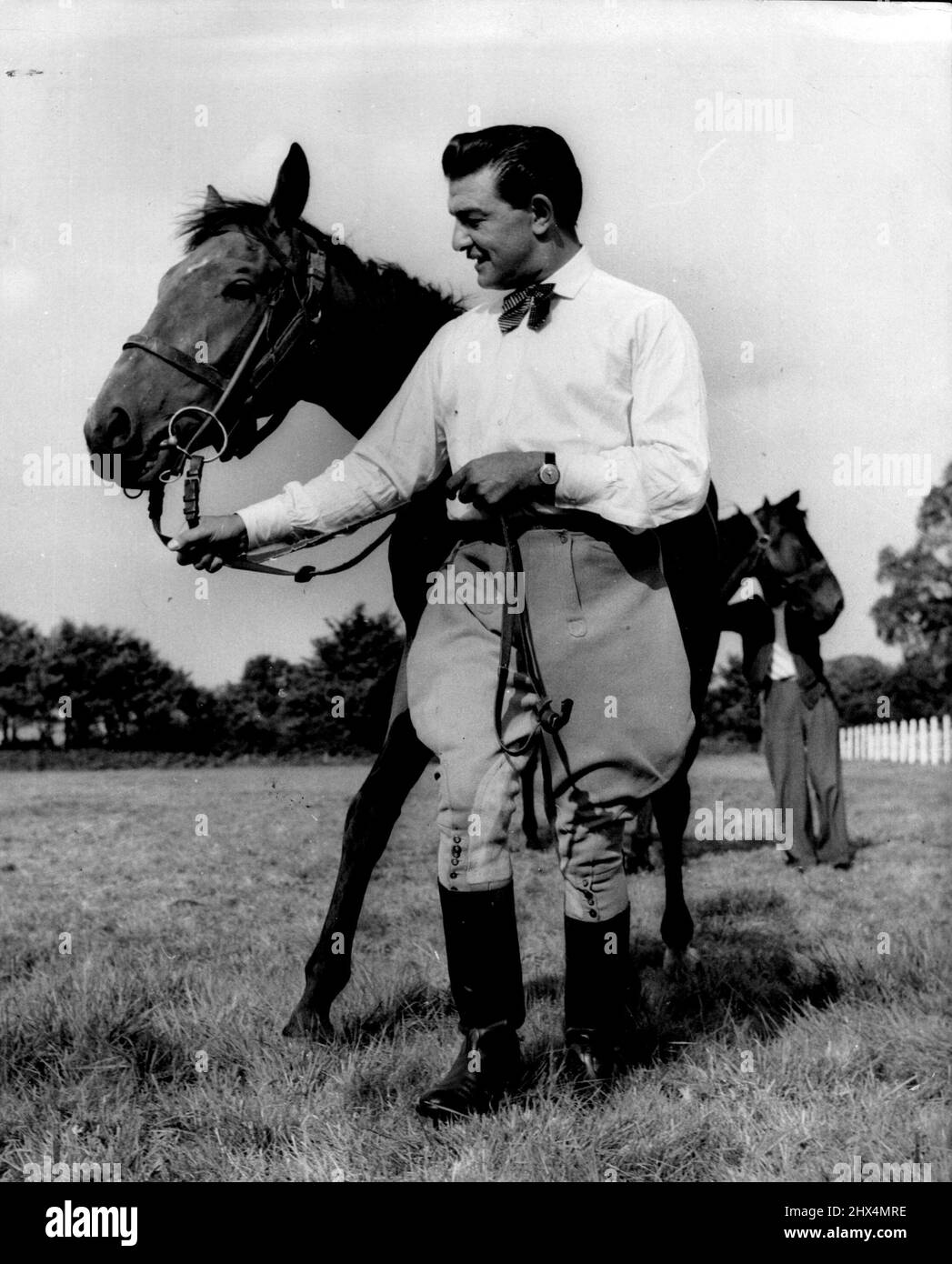Sportsmen Raymond exercises a favourite horse, Raymond's Folly, which he hopes to race soon. Violent sports like skiing, wrestling, speed driving in open cars are his pastimes. Soon he expects to race Raymond's Folly (above). December 29, 1954. Stock Photo