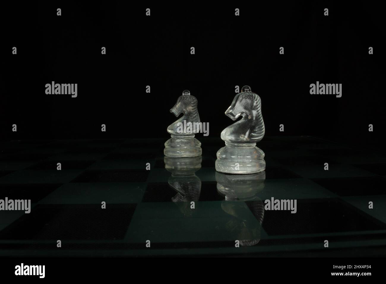 two clear chess piece knights isolated on a chequered chess board with a black background Stock Photo