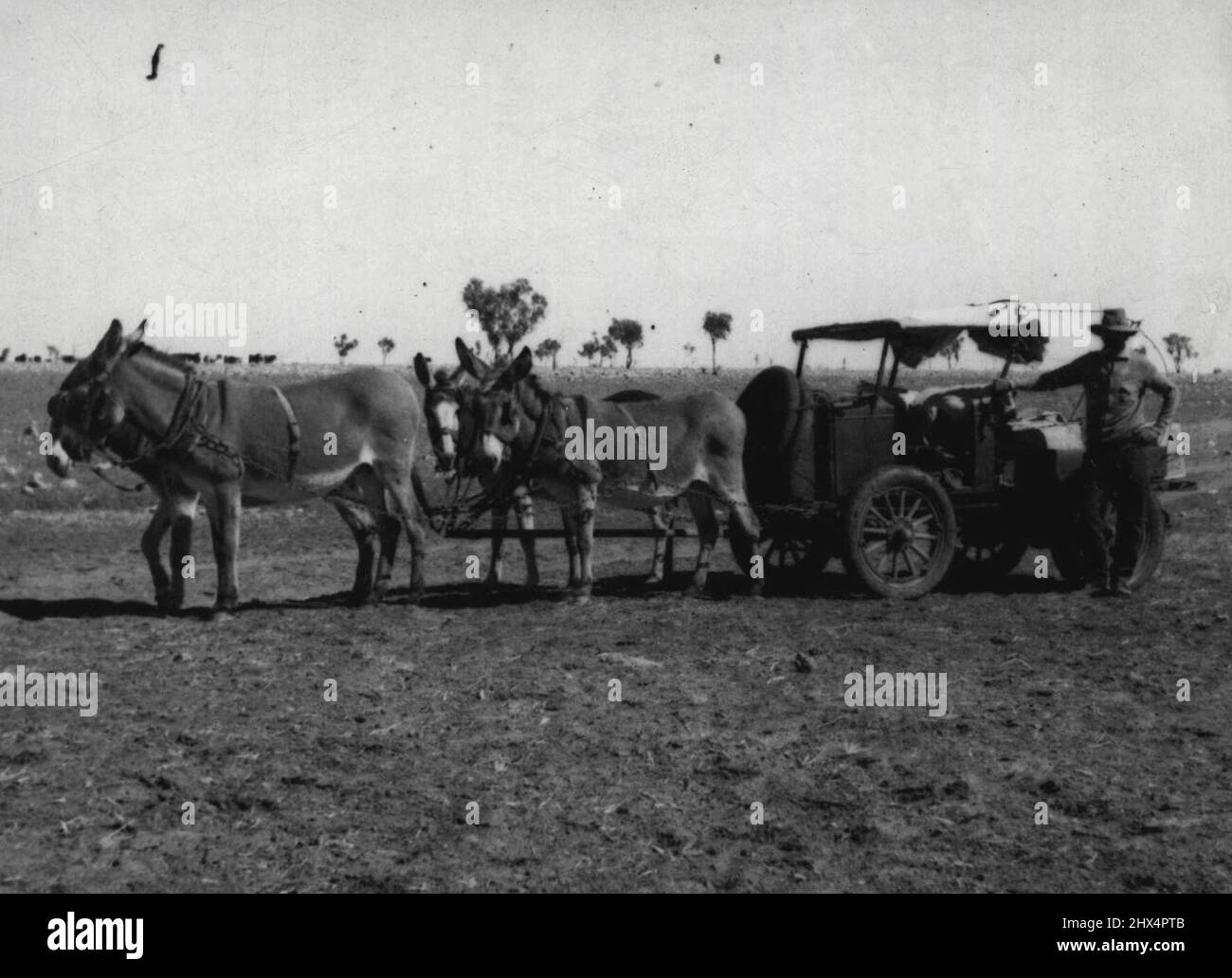 Alex Rummel a swagman who wanders through Central Australia with a team ...