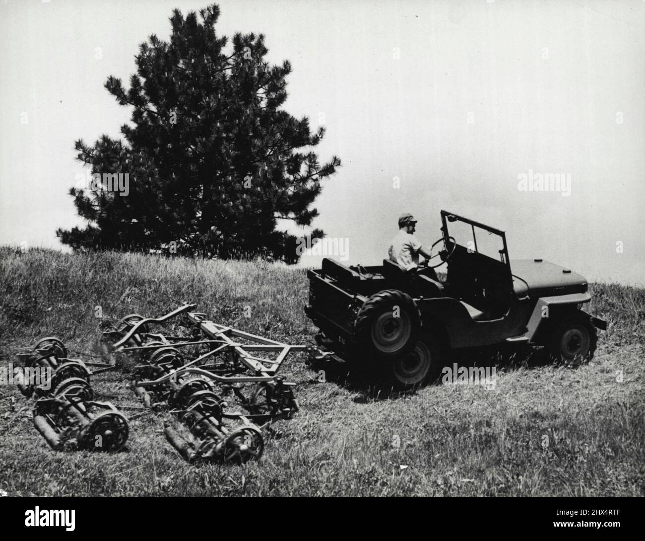 Jeep-of-All-Trades -- Harrowing... Doubling for a tractor, this jeep is pulling a spring tooth harrow, or drag, on the farm. For the purpose of demonstration the harrow is being used on unploughed land. It would work even easier on ploughed ground; for the jeep has power to all four wheels and the tore design gives plenty of traction. September 16, 1945. (Photo by C.J. Nichols, International News Photos). Stock Photo