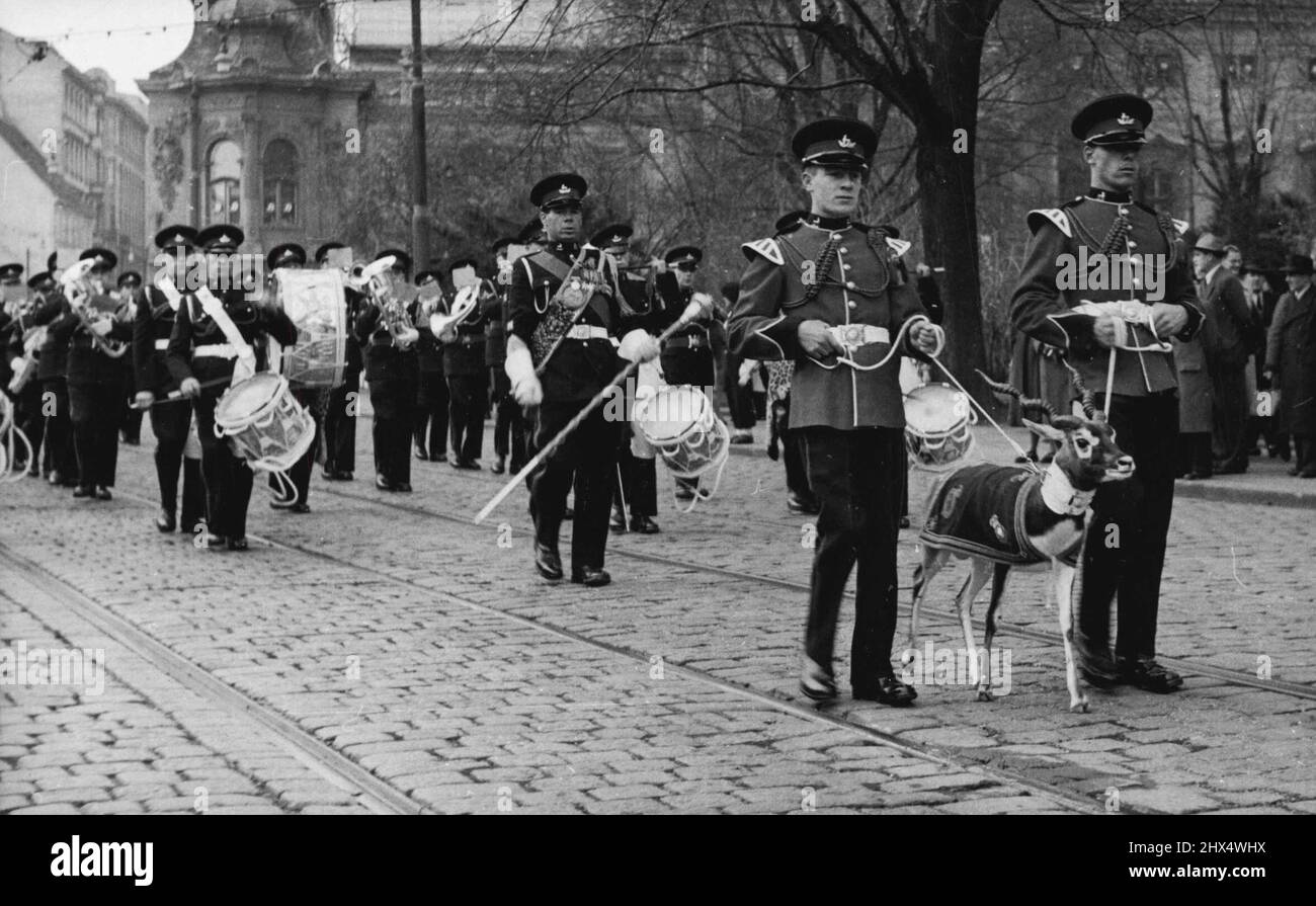 Mr. Antelope to the Fore -- The Antelope of the royal Warwickshire regiment at a recent changing of the guard ceremony in Vienna. At a recent ceremony on the Schmerling Platz, Vienna, the first battalion of the royal warwickshire regiment changed the guard with a French regiment. The antelope mascot of the Warwickshire regiment was much in evidence and performed his part well. Viennese newspapers have commented on how much better the antelope is treated than the coat now appearing in an Austrian production of 'Porgy and Bess'. November 06, 1952. (Photo by Paul Popper). Stock Photo