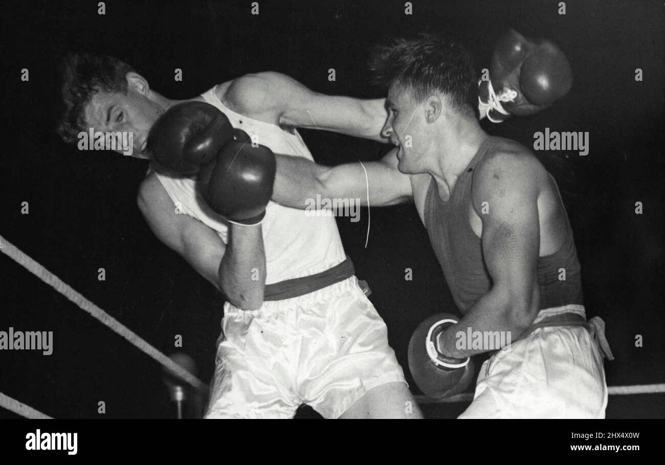 Do Boxers Have Strong Jaws