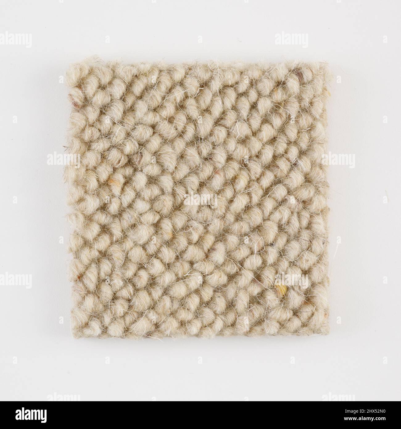 Cream coloured loop pile carpet sample Stock Photo Alamy