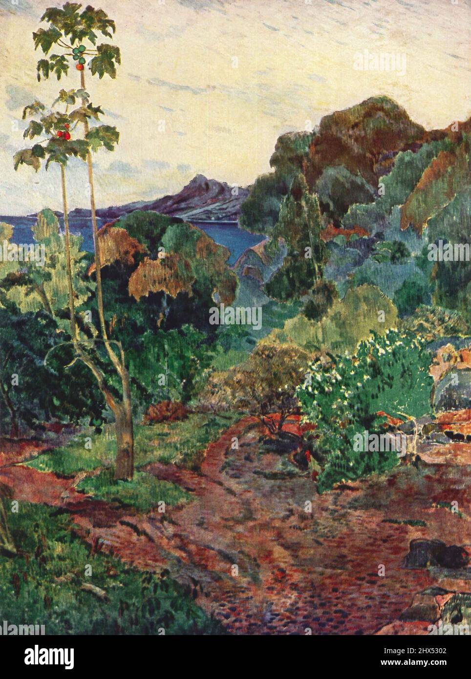 Paul Gauguin; Végétation tropicale, Martinique 1887; Tropische Pflanzenwelt, Landschaft in Martinique; Martinique Landscape; Martinica; 保羅·高更, 馬提尼克 Stock Photo