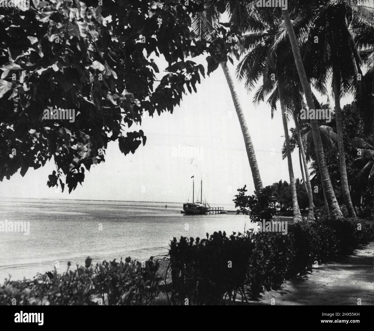The Solomon Islands....*****. August 14, 1942. (Photo by R. Lowet; De Wotrenge) Stock Photo