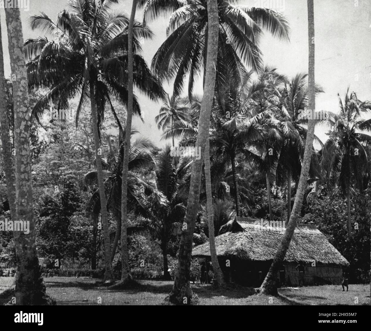 Solomon Islands - Places - Florida Froup (Tulagi). August 14, 1942. (Photo by R. Lowet; De Wotrenge) Stock Photo