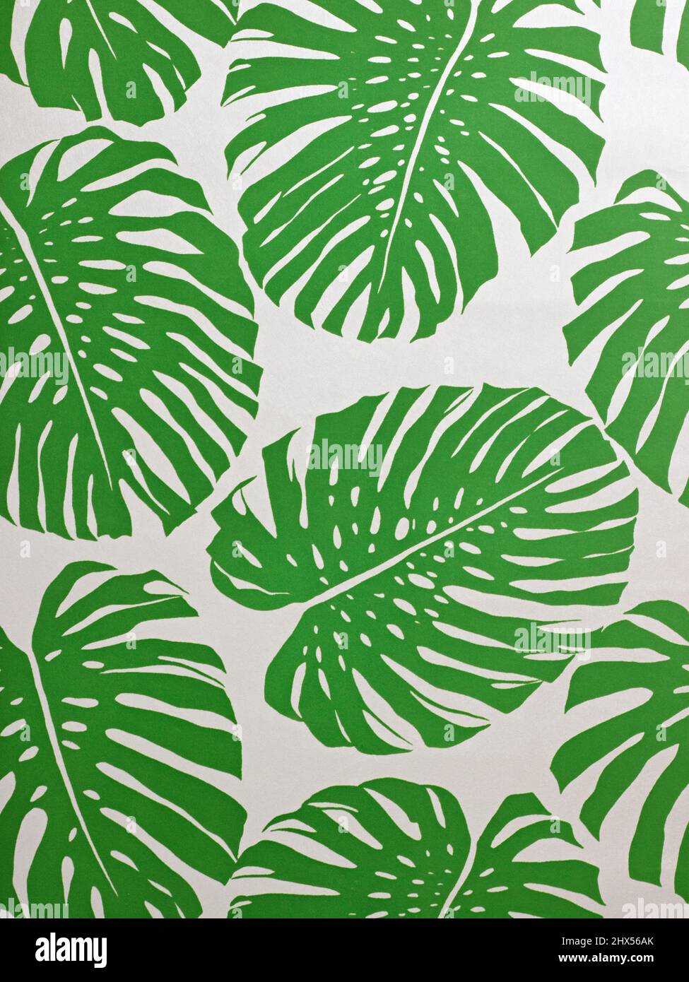 Green palm leaf flock wallpaper Stock Photo Alamy