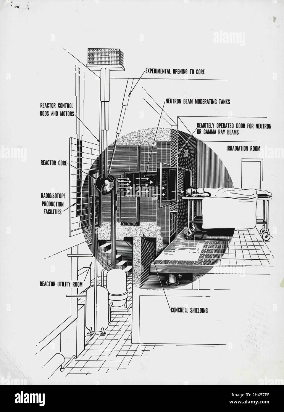 Nuclear Reactor Diagram Hi-res Stock Photography And Images - Alamy