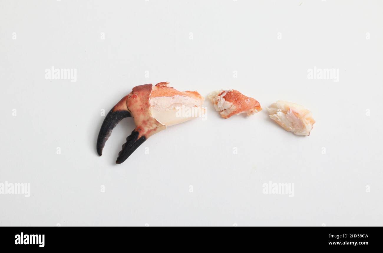 Cooked crab claw meat Stock Photo Alamy