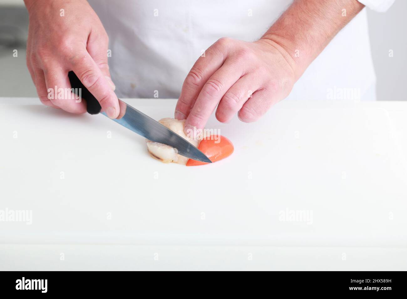 Preparing scallops, cutting away thick white piece of muscle on edge of scallop Stock Photo