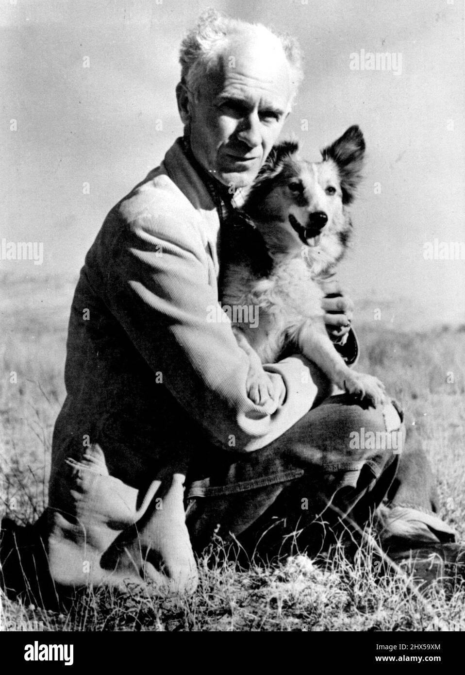 Ernie Pyle And His Dog -- Ernie Pyle and his Shetland Sheep dog Cheetah Sun Themselves on the Mesa outside his home in Albuquerque, N.M. after the Noted Correspondent and Author returned from the European Theater of Operations. Pyle was reported April 18 to have been Killed in on Ie Jima, Northwest of Okinawa, by a Japanese Machine gun gullet. April 18, 1945. (Photo by Bob Landry, Associated Press Photo). Stock Photo