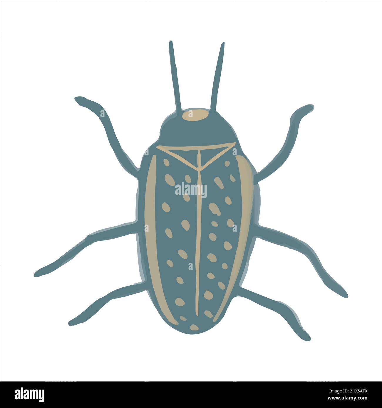 Exquisite hand drawn bed bug in boho style. Vector illustration Stock Vector Image & Art Alamy