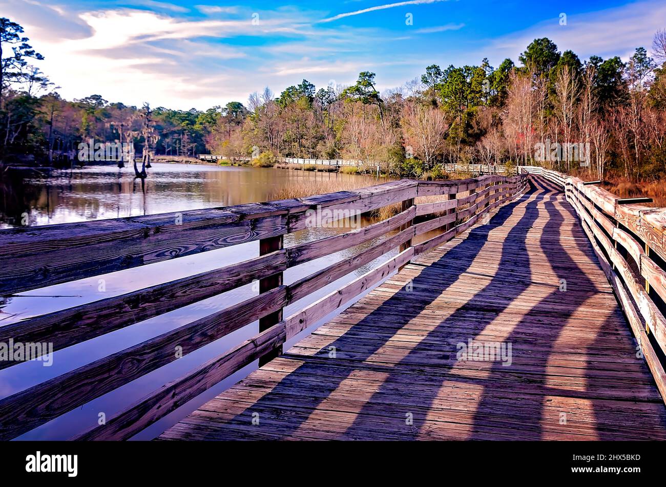 The Dwight Harrigan ExxonMobil Bayou Boardwalk winds through the Fowl River Watershed at Bellingrath Gardens, March 4, 2022, in Theodore, Alabama. Stock Photo