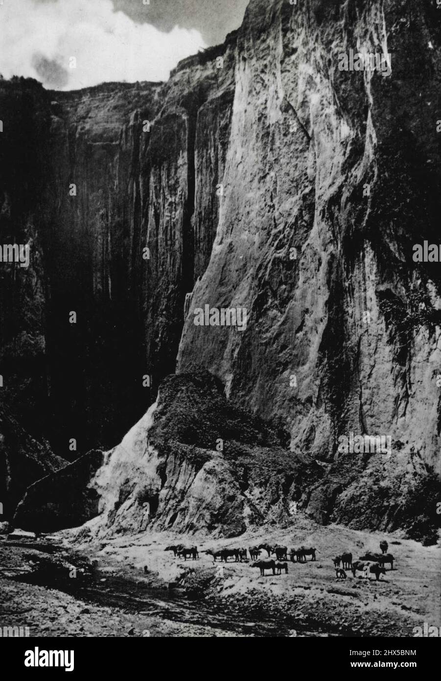 West General Sumatra -- View of the Karbouw Gorge (Buffalo Gorge) near Fort de Kock in the Padang Highlands. This gorge is formed mainly by sheer perpendicular walls, hundreds of feet high. March 31, 1950. Stock Photo