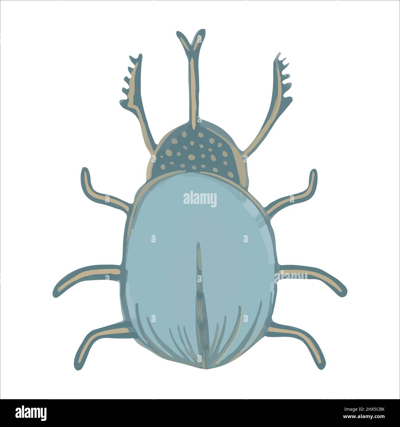 Exquisite hand drawn beetle in boho style. Vector illustration. Stock Vector