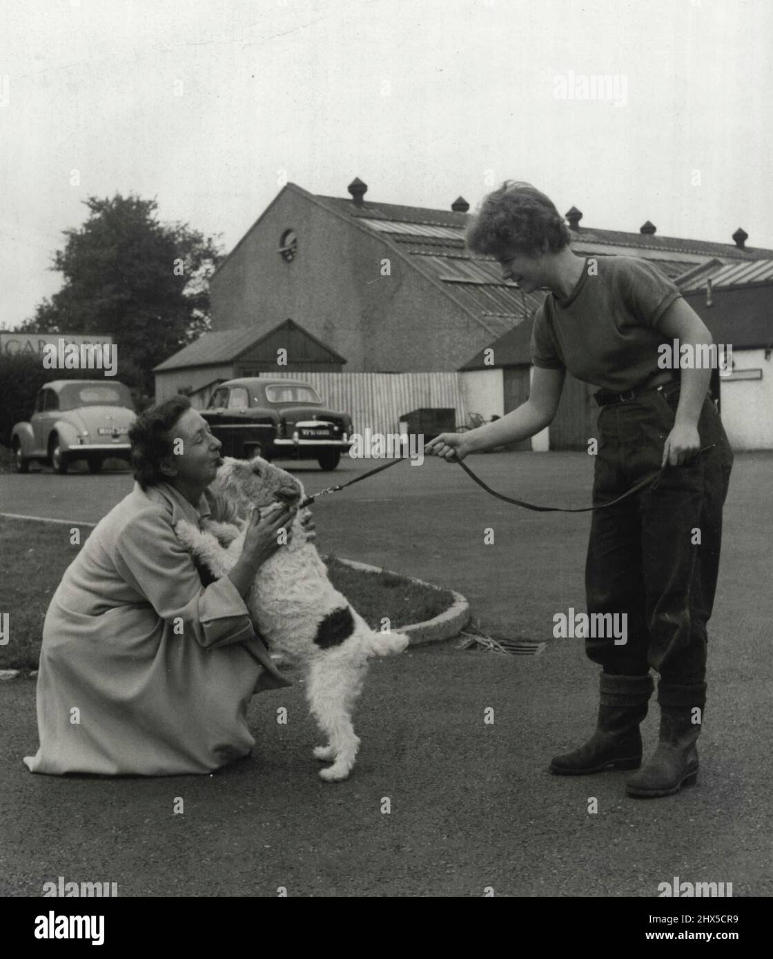 Mrs gladys hay curtis hires stock photography and images Alamy