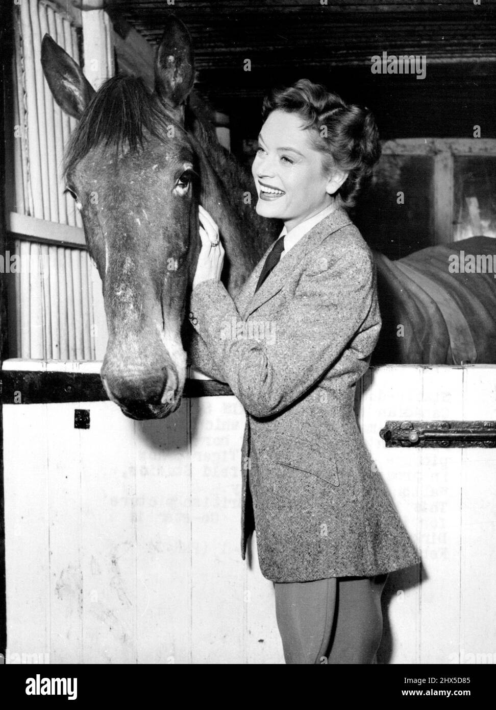 Star Rider -- Stable-door introduction for lovely Canadian film star Alexis Smith and the bay mare, Bridget, which she rides in many scenes of her new picture, 'the sleeping tiger', now in production at Nettlefold Studios, Walton-on-Thames, Surrey. This is Alexis' first British picture for Insignia films. Co-star is Dirk Bogarde. February 26, 1954. (Photo by Reuterphoto). Stock Photo