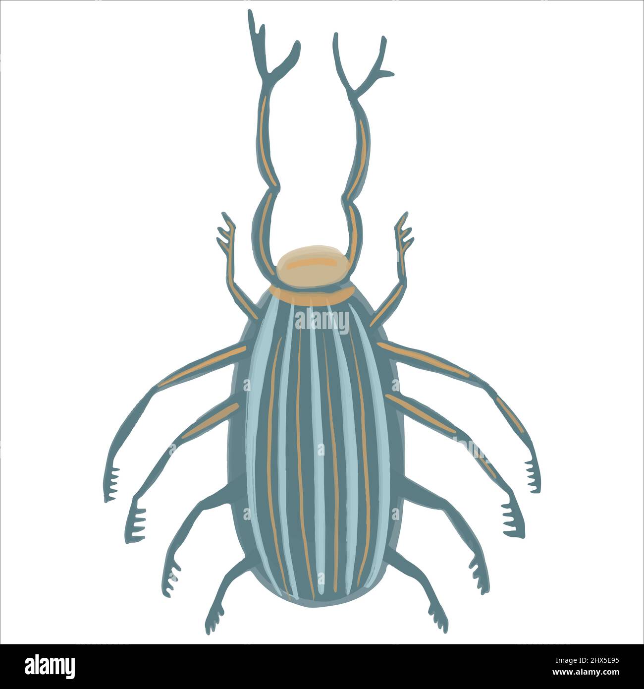 Exquisite stag beetle hand drawn in boho style. Vector illustration. Stock Vector