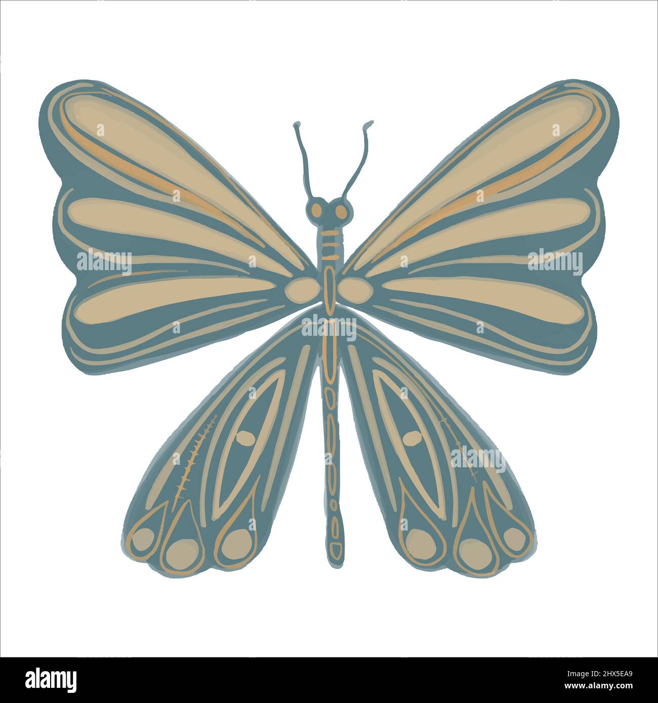 Exquisite butterfly hand drawn in boho style. Vector illustration. Stock Vector