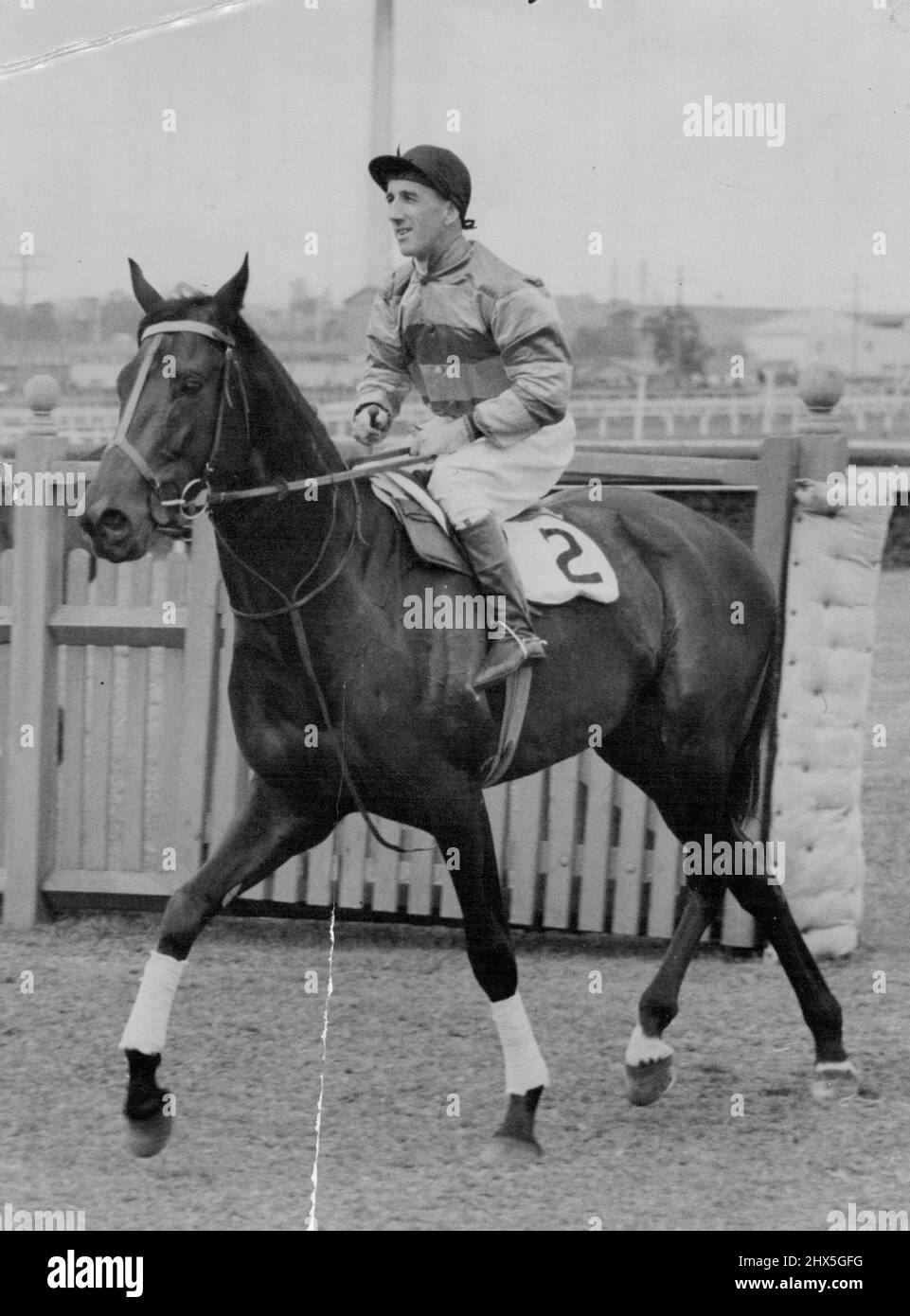 Fastest time for a Melbourne cup, 3mins, 21 sees was run by both Wotan and Russia. But **** horse holds the two miles record for Australia? (a) Windbag (b) Phar Lap (c) Spear Chief (d) Peter Pan. April 04, 1939. Stock Photo