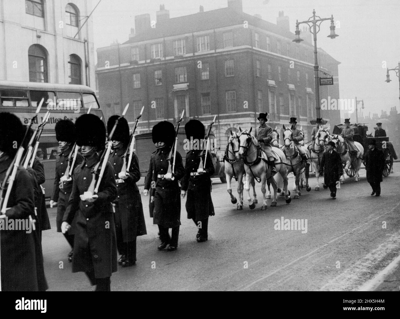 These are the horses which will pull the Queens State Coach at the