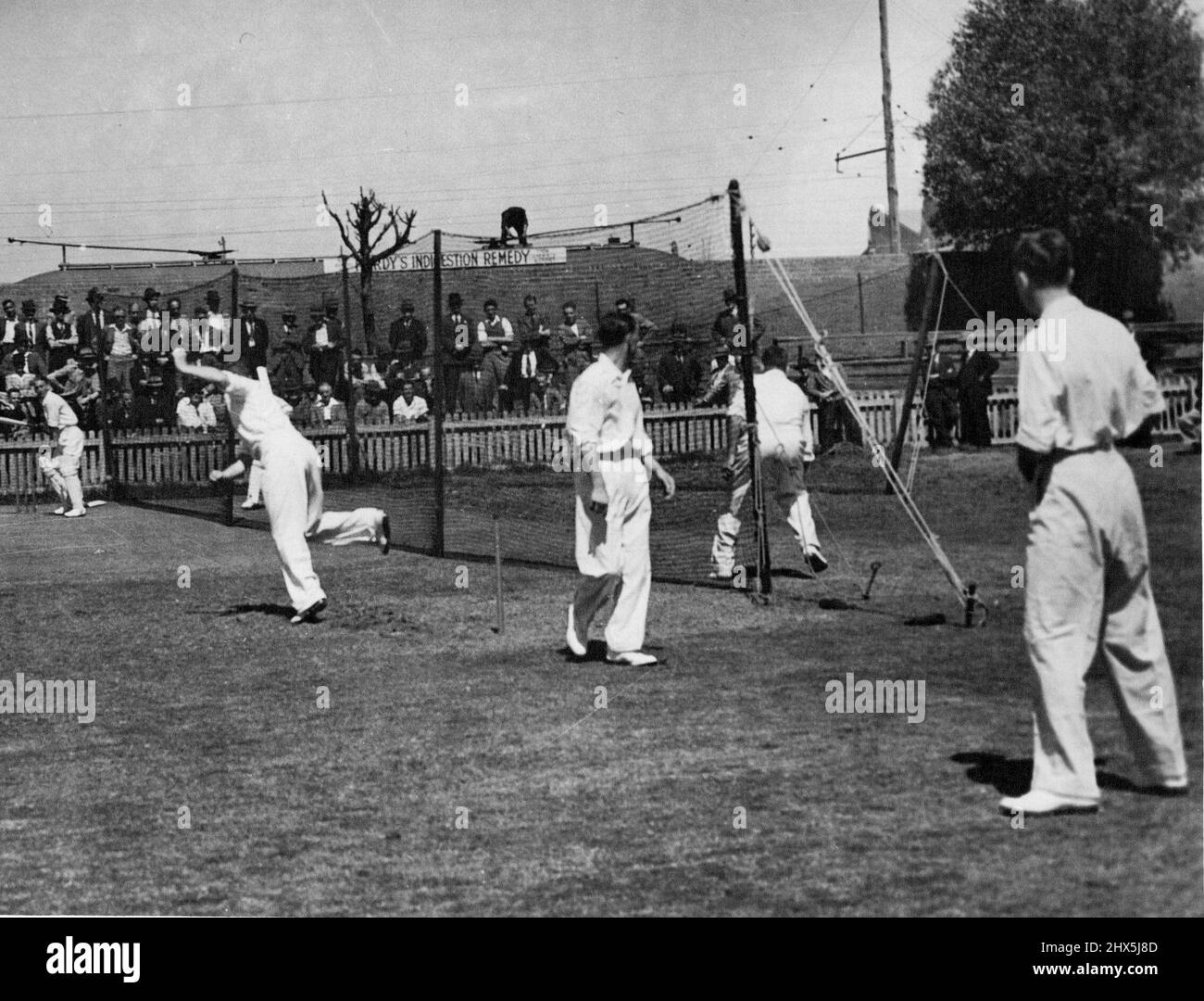 Sport Cricket Nets & Net Practice. October 8, 1946. Stock Photo