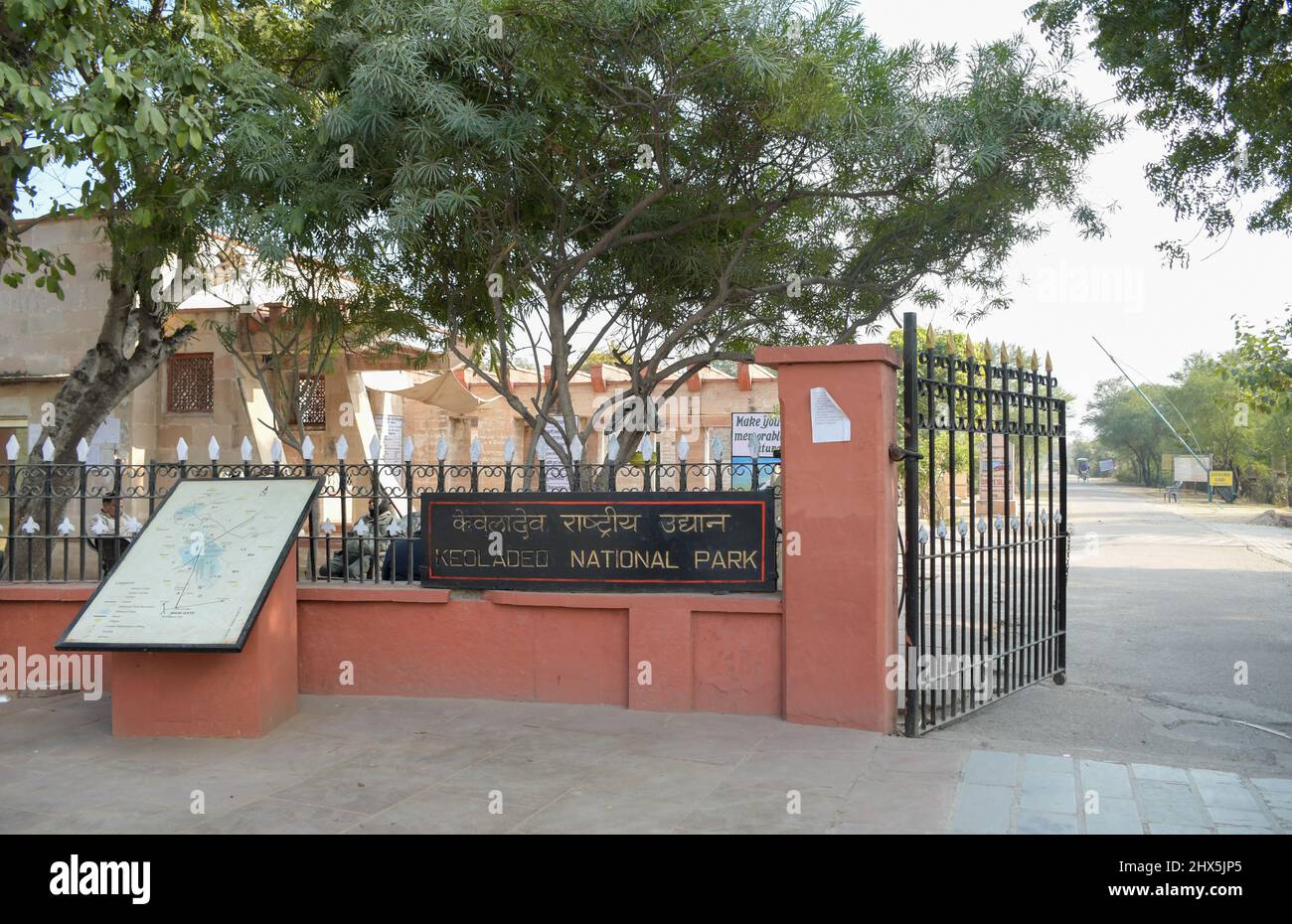 Bharatpur bird sanctuary or Keoladeo ghana national park in Rajasthan India  is a world famous bird watching park Stock Photo - Alamy, image size:1300x930