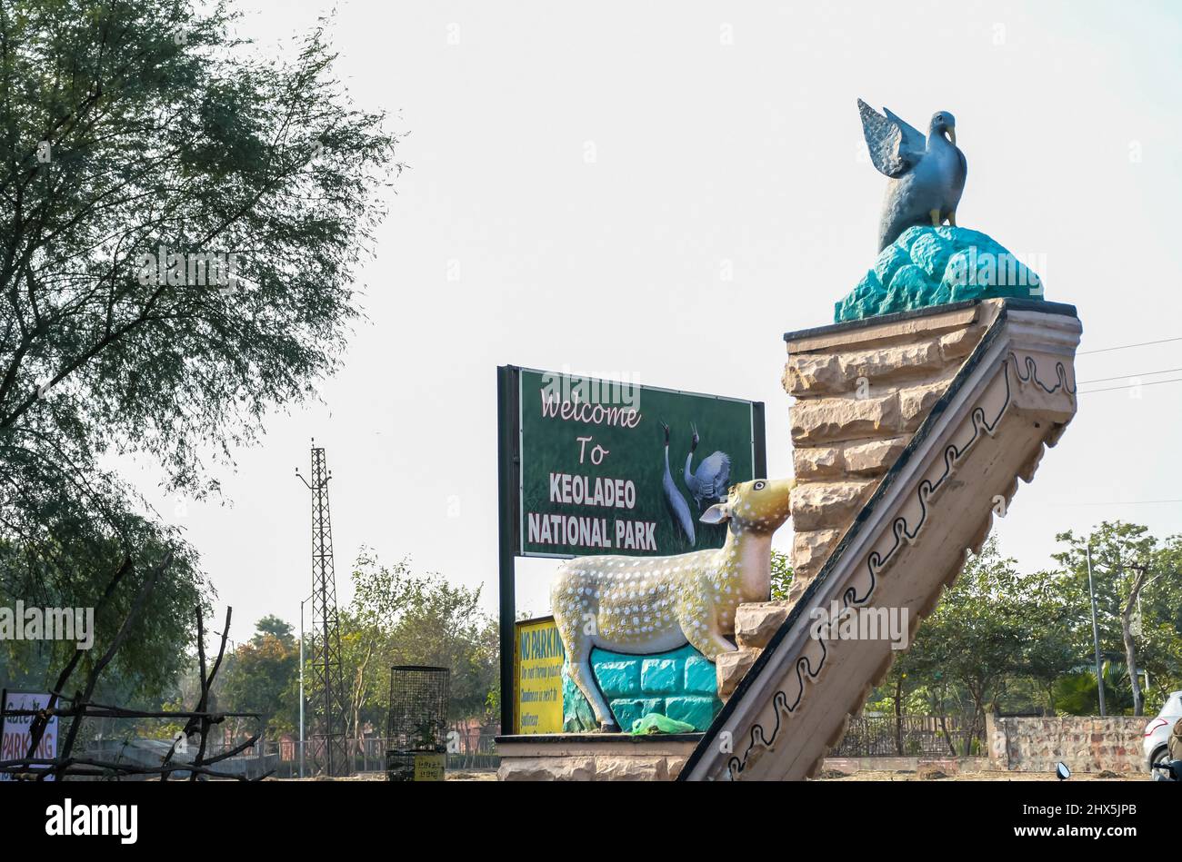 Bharatpur bird sanctuary or Keoladeo ghana national park in Rajasthan