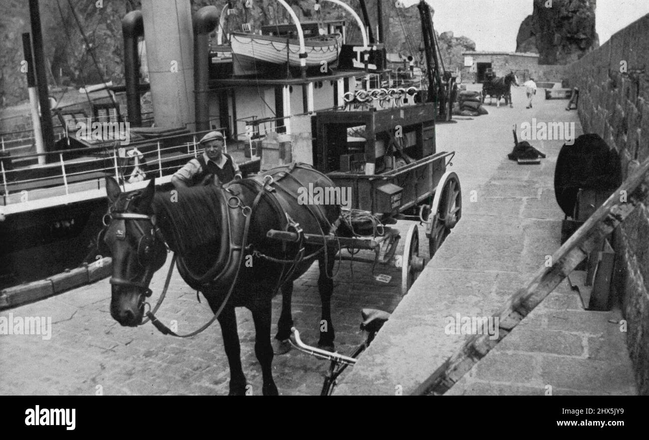 life is feudal wiki horse cart