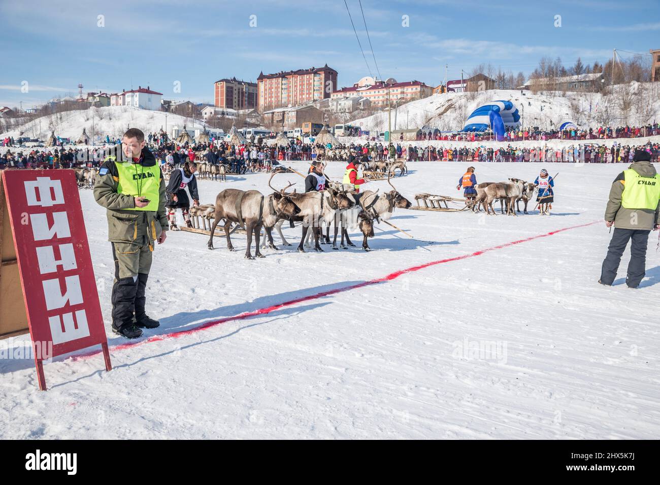 Reindeer sled racing competition at Reindeer Herders Festival in Salekhard, Yamalo-Nenets Autonomous Okrug, Russia Stock Photo