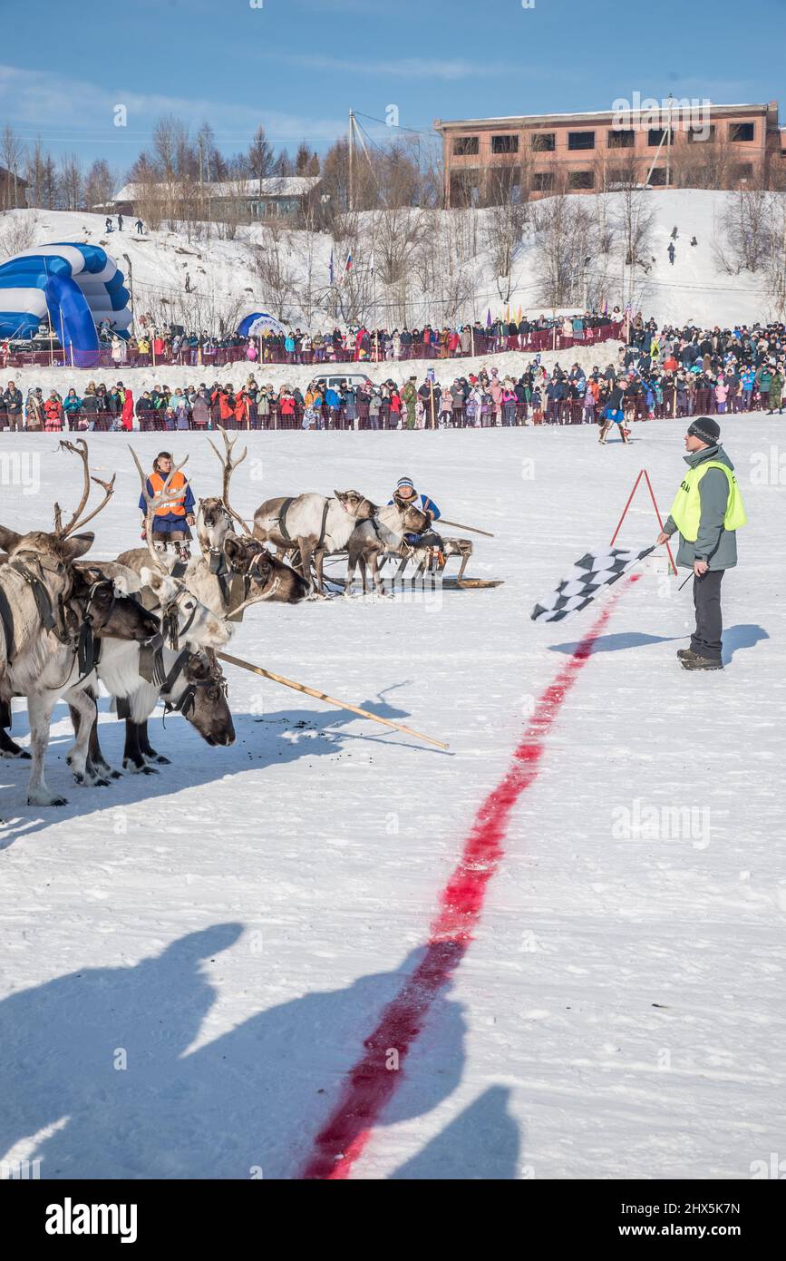 Reindeer sled racing competition at Reindeer Herders Festival in Salekhard, Yamalo-Nenets Autonomous Okrug, Russia Stock Photo