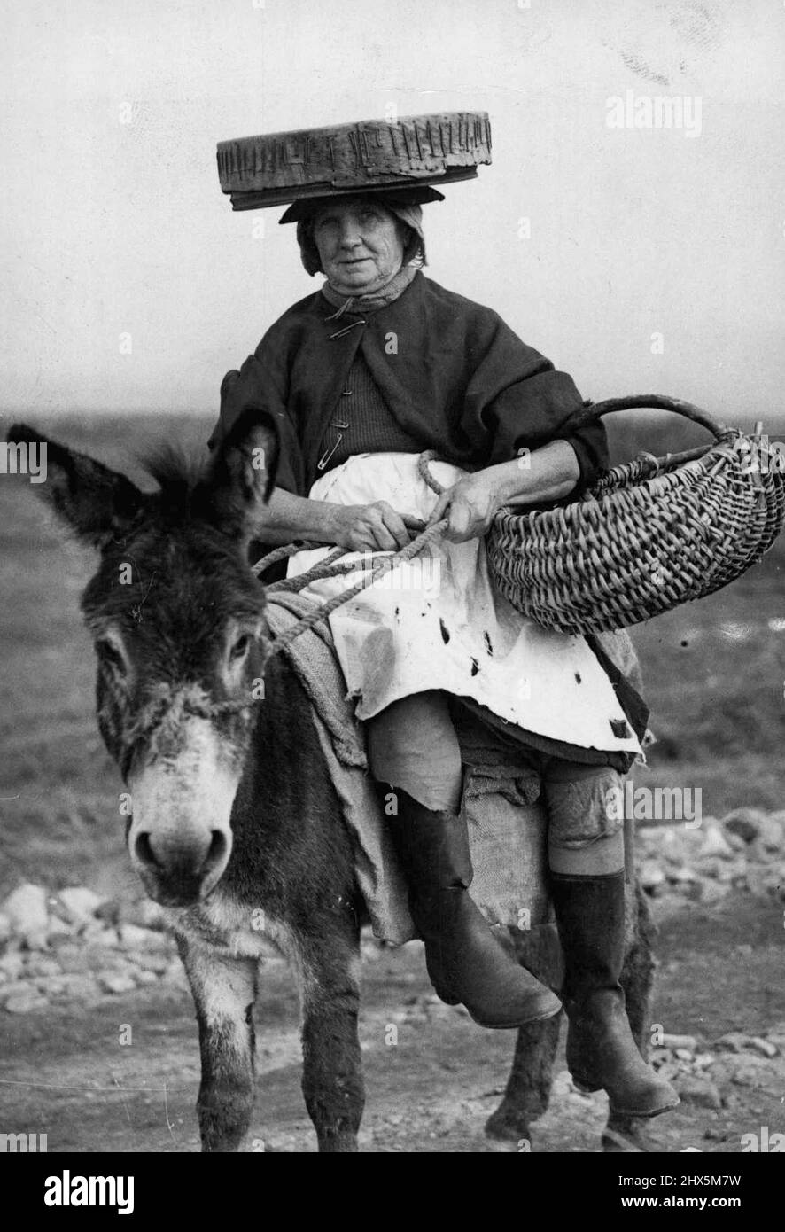 The 'Cookle Women Of Penclawdd' -- A typical cockle women is Mrs. Annie Rynon, and as the tide goes out so does Mrs. Eynon on her donkey, complete with the sieve which is the chief implement of her trade. The block Atlantic winds which sweep the desolate sands of Llanrhidian do not daunt her nor the possibilities of 'unexploded shells and bombs about which large notices warn her. Women wearing sieves on their heads and riding tiny donkeys and pony-carts make their living by searching for cockles left by the ebbing tide, Llanrhidian Sands, South Wales is Britain's biggest cockle centre, and Stock Photo