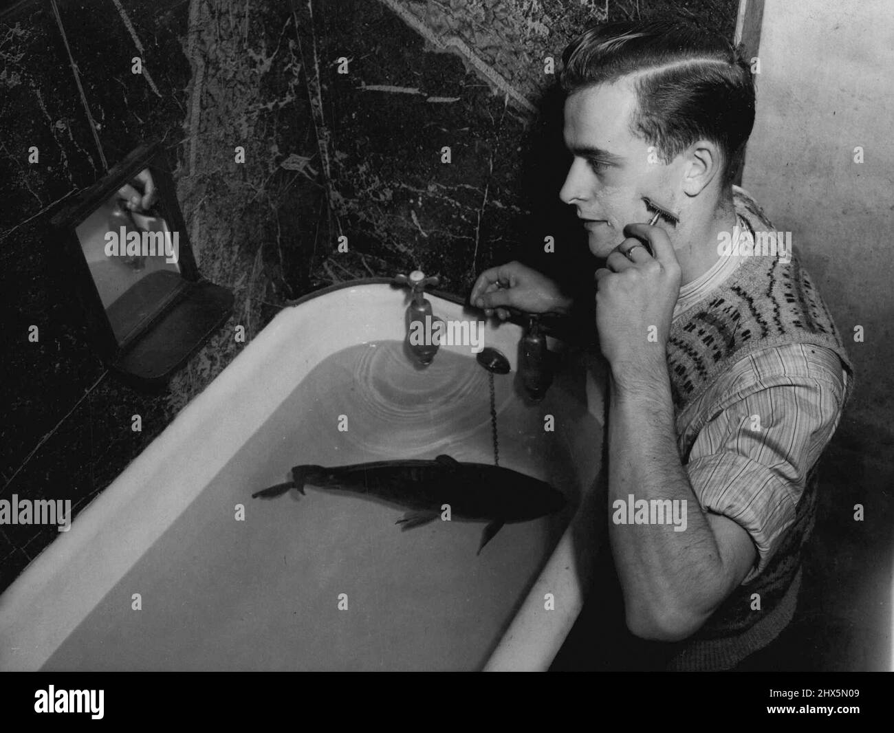 A 'Guinea Pig' In The Bath - The plump character in the bath is Clarence. Clarence is a Crucian carp; but just at the moment he is a guinea-pig too. Leonard fanatic about fishing, caught Clarence with a bait of bread. Now he is trying out various foods on the fish; when he finds the one it likes best, he'll use it as bait in future. Meanwhile the fish cruises quite happily round the bath while Leonard shaves. It doesn't mind trying out anything they give it to eat. It will be taken back to its own pool when the experiment is over. September 24, 1948. (Photo by Miirror Features). Stock Photo