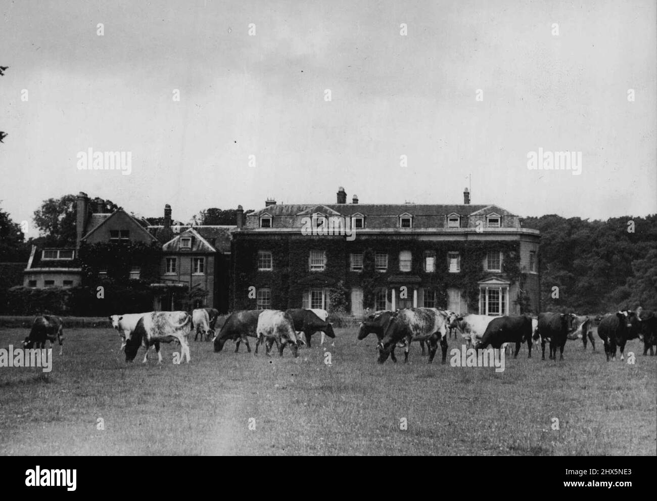 25 Room Mansion For Princess Elizabeth. Sunninghill Park, a 25Room