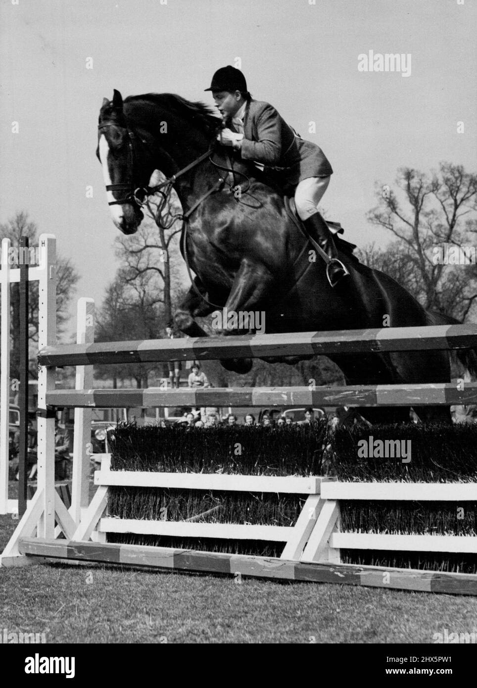 Cornfield Clears -- Under the expert guidance of Miss Pat Smythe, novice horse Cornfield clears a jump at the Beaufort Hunt Jumping Show at Badminton yesterday. The snow ends today (Saturday). April 23, 1955. (Photo by Reuter Photo). Stock Photo