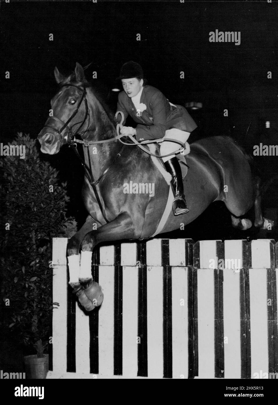 Well Clear -- Miss Pat Smythe, the popular international show jumper, takes 'Prince Hal' over the sleepers during yesterday's jumping at the horse of the year show at Harringay. Pat finished second on Prince Hal in the 'Horse of the year' competition, won by Mr. Ted Williams on 'Sunday Morning'. October 07, 1955. (Photo by Paul Popper Ltd.). Stock Photo