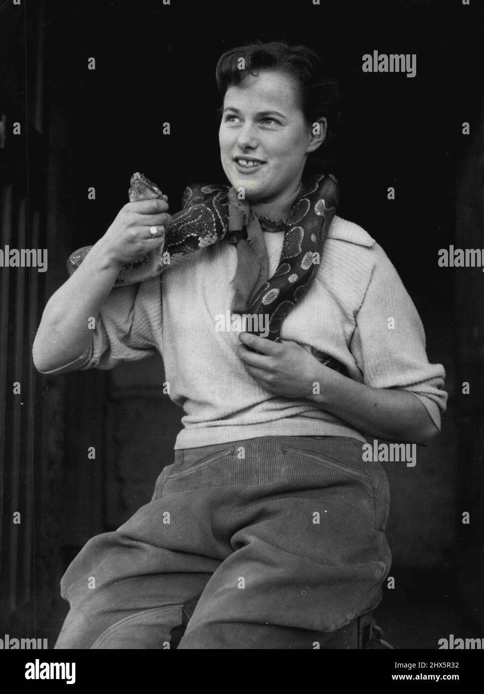 Has A Grip On Her Job -- Far cry from taking dictation to handling snakes, but former shorthand typist Gilliam Ashby competently undertakes a job that would make many girls shudder. Here she shows the correct way to hold a python at the Chester Zoo, where she is one of the three attractive girl keepers. Gillian, 22, joined the zoo a year ago. She is a native of Newcastle-under-Lyme, near take-on-Trent, Staffordshire. Far Cry from taking dictation is former shorthand typist Gillian Ashby's newest occupation. October 28, 1954. (Photo by Reuterphoto). Stock Photo